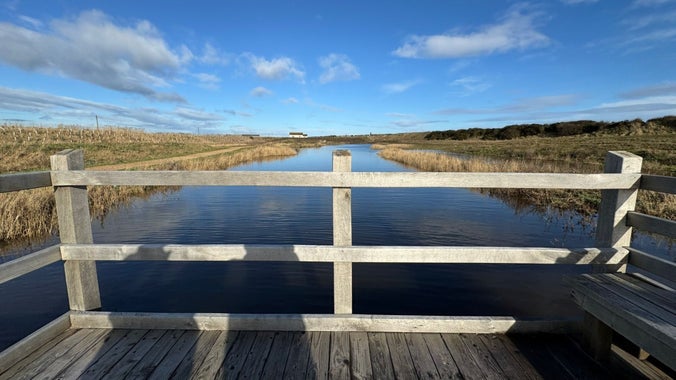 View point from wooden boardwalk overlooking a calm wetland lagoon at Sandilands Nature Reserve, with reeds lining the water, open grassland beyond and a wide blue sky with scattered clouds.